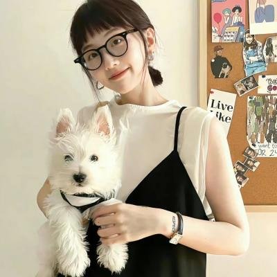 萌鼠追击大作战